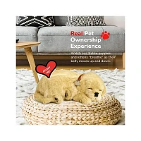 Perfect Petzzz – Original Petzzz Golden Retriever