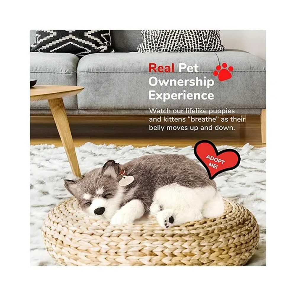 Perfect Petzzz – Original Petzzz Alaskan Husky