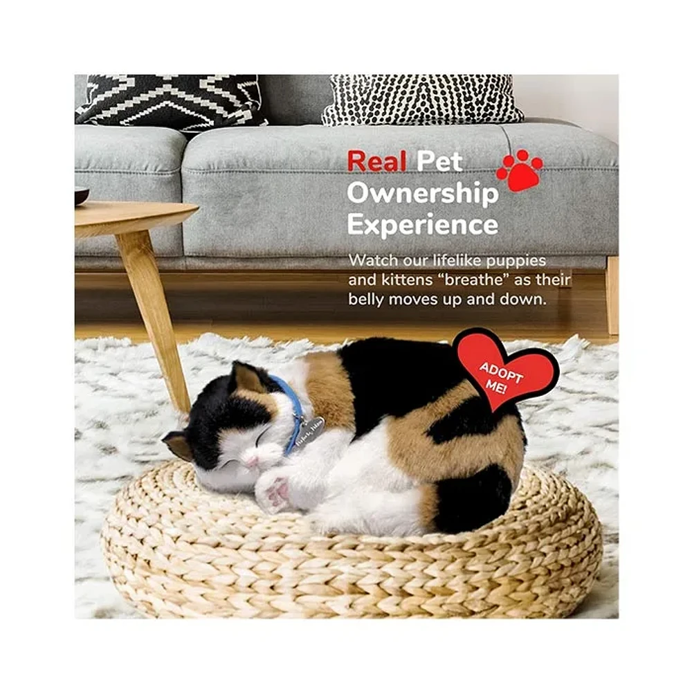 Perfect Petzzz – Original Petzzz Calico Cat