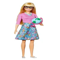 Mattel Barbie Career Teacher Doll