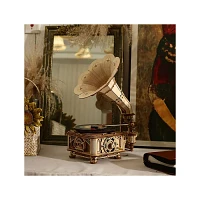 3D Wooden Puzzle Black Gum Gramophone with Display Case