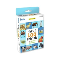 First 100 Animals Matching Card Game