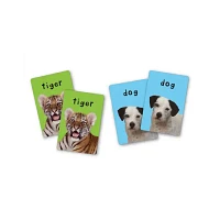 First 100 Animals Matching Card Game