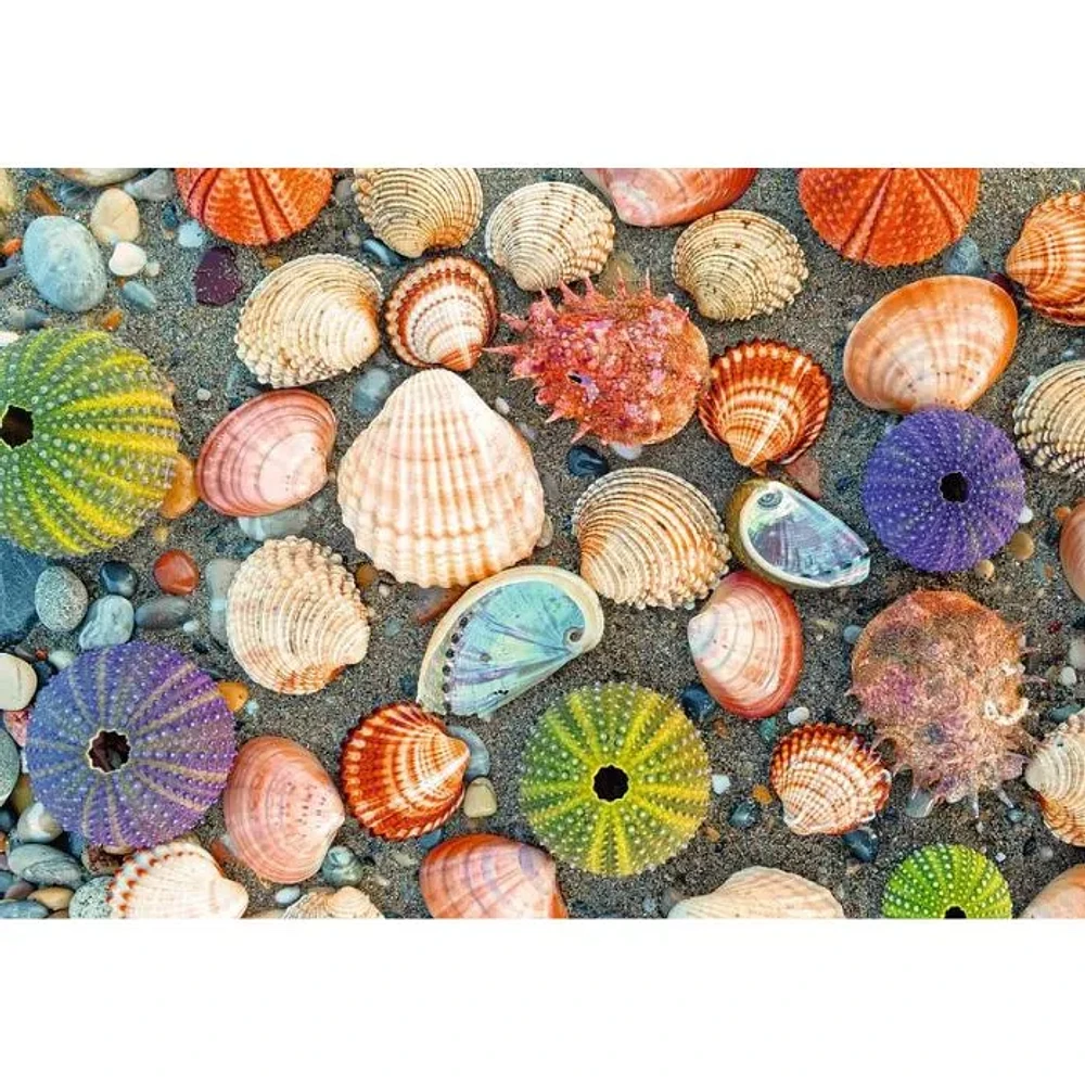 Ravensburger By The Seashore 300 Piece Jigsaw Puzzle