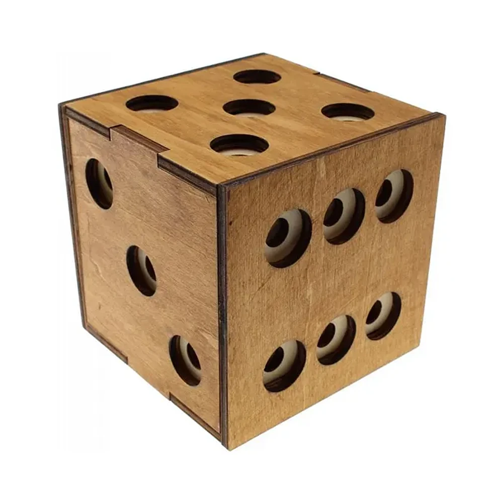 Puzzle Master Dice Box