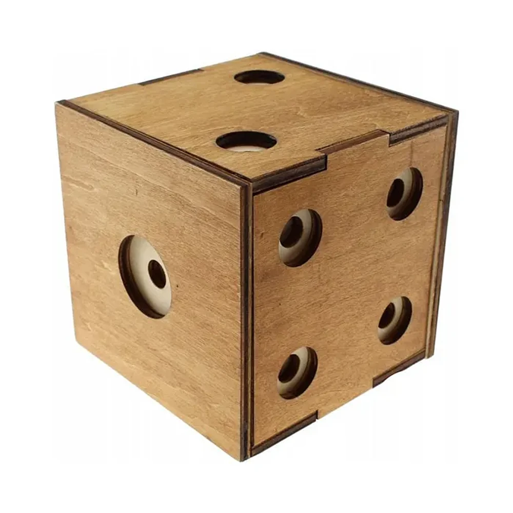 Puzzle Master Dice Box