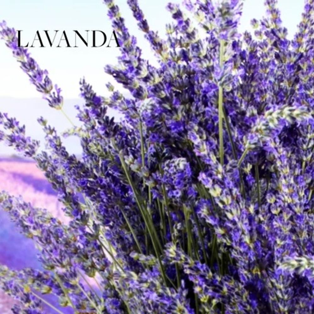 Spa Collection Colonia Lavanda