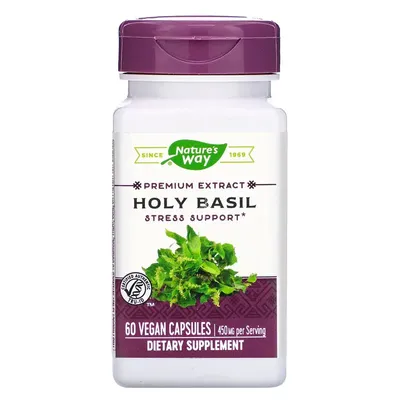 Holy Basil  (Tulsi)