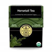 Horsetail Tea