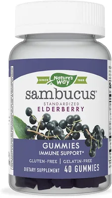 Sambucus Elderberry Kids Support Gummies (40)