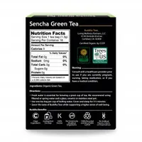 Sencha Green Tea