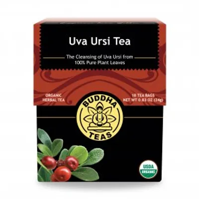 Uva Ursi Tea