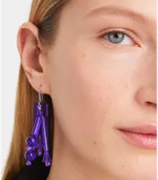 Beaded Tassel Earring
