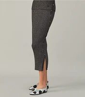 Lurex Stripe Knit Skirt