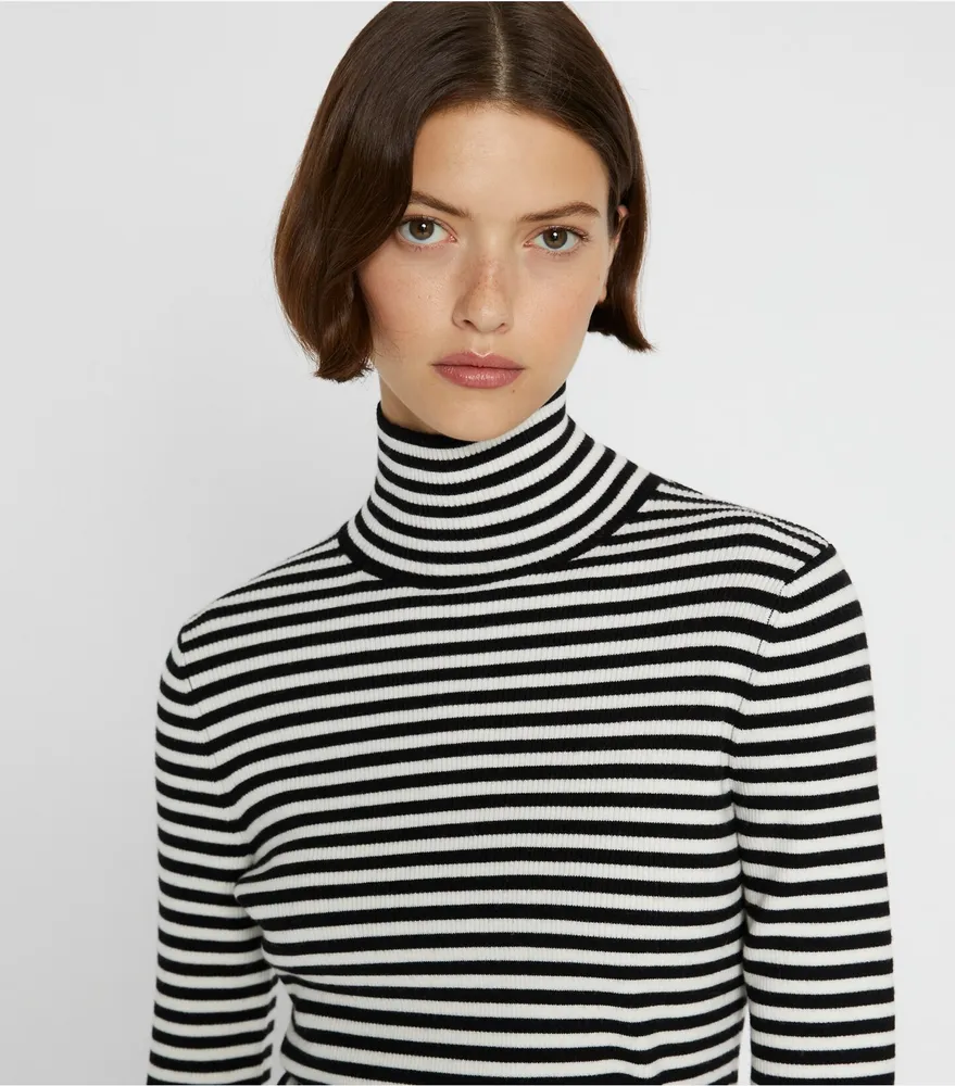 Striped Wool Ribbed Turtleneck