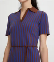 Vertical Stripe Dress