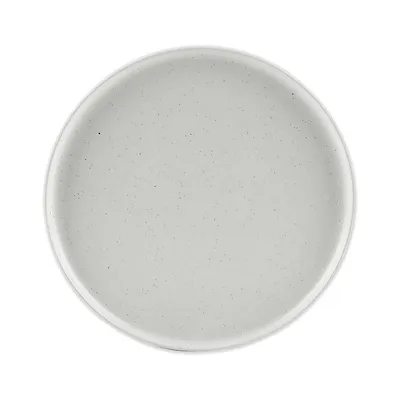 Our Table™ Landon Dinner Plate in Sea Salt