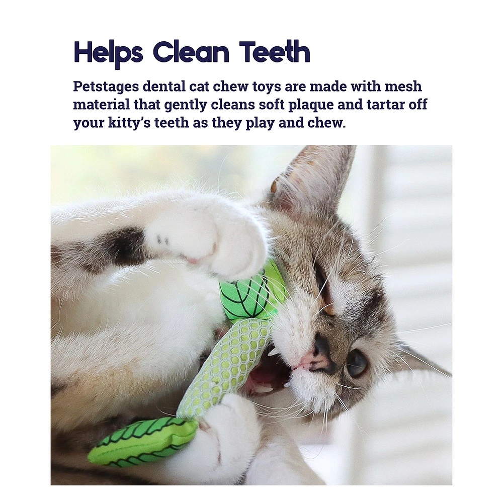 Catstages Fresh Breath Mint Stick Cat Toy - PetSmart in Tustin, CA