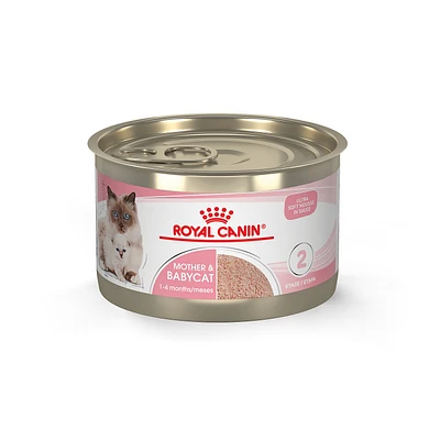 Royal Canin® Feline Health Nutrition Mother & Babycat Mousse in Sauce Wet Cat Food  5.1 oz can