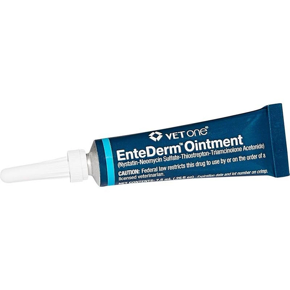 EnteDerm Ointment | The Market Place