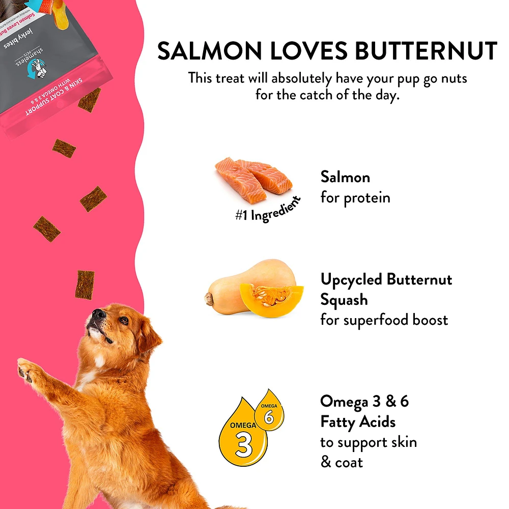 Shameless Pets Salmon Loves Butternut Jerky Dog Treats - Salmon & Butternut  Squash | The Market Place