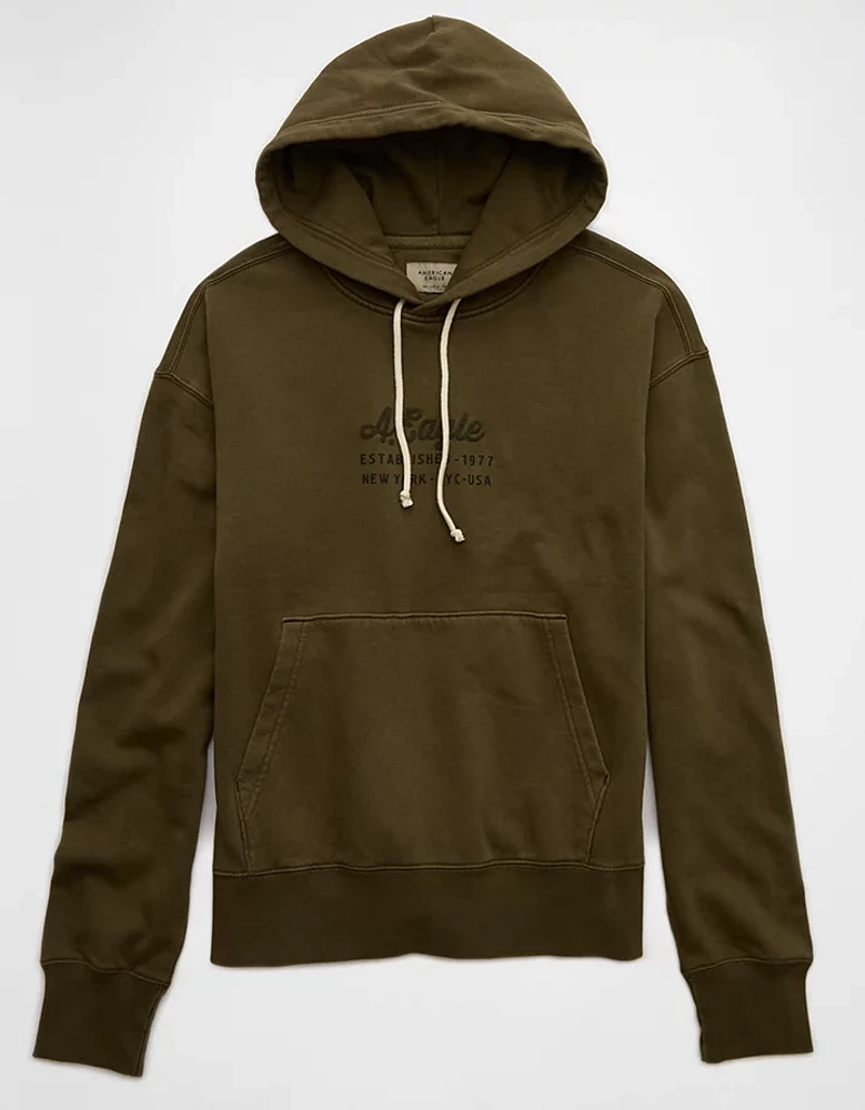 AE Logo Graphic Hoodie