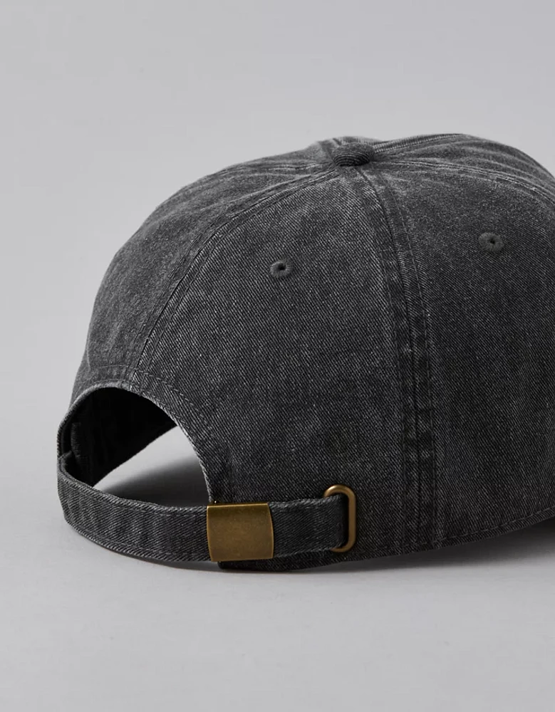 AE Logo Baseball Hat