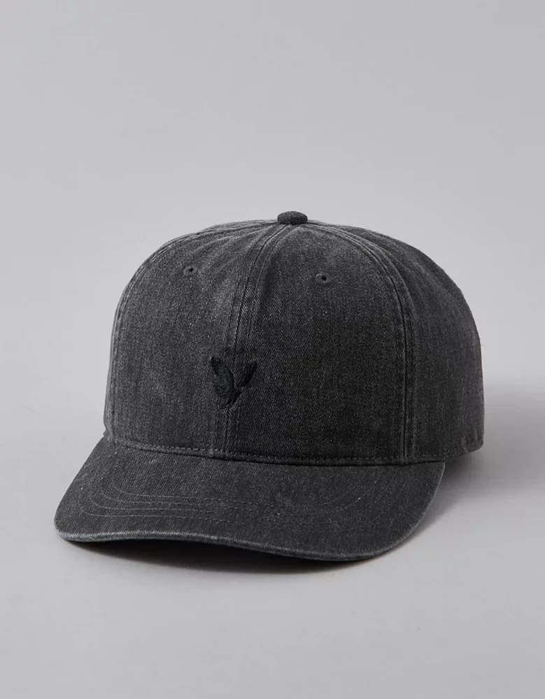 AE Logo Baseball Hat