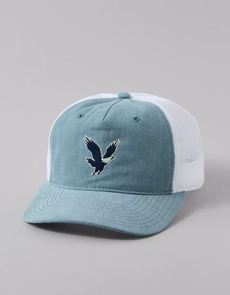 AE Logo Graphic Trucker Hat