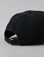 AE Eagle Baseball Hat