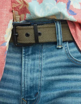 AE Reversible Web Belt