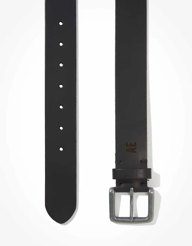 AE Reversible Belt