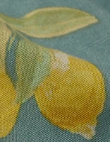 Caleçon boxeur à poche en popeline citrons pour hommes AEO