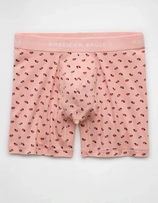 AEO Men's Ladybugs 6" Classic Boxer Brief