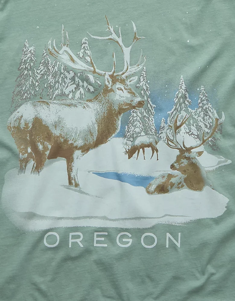 AE Oregon Holiday Graphic T-Shirt