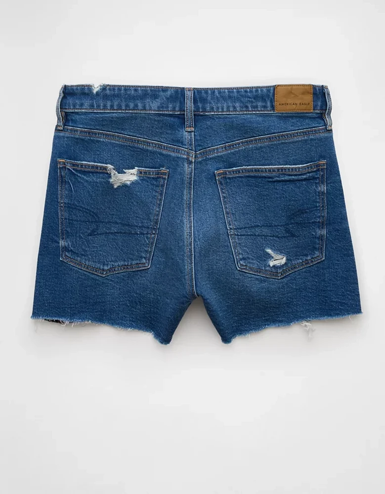 AE Strigid Ripped Denim Mom Short