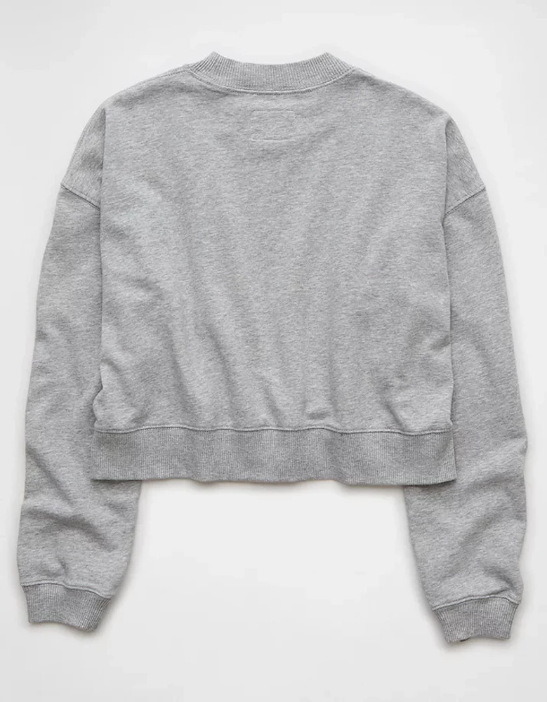 AE Big Hug Cropped Crew Neck Sweatshirt