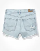 AE Strigid Denim '90s Boyfriend Short