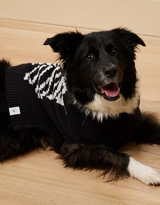 ABO Skeleton Dog Sweater