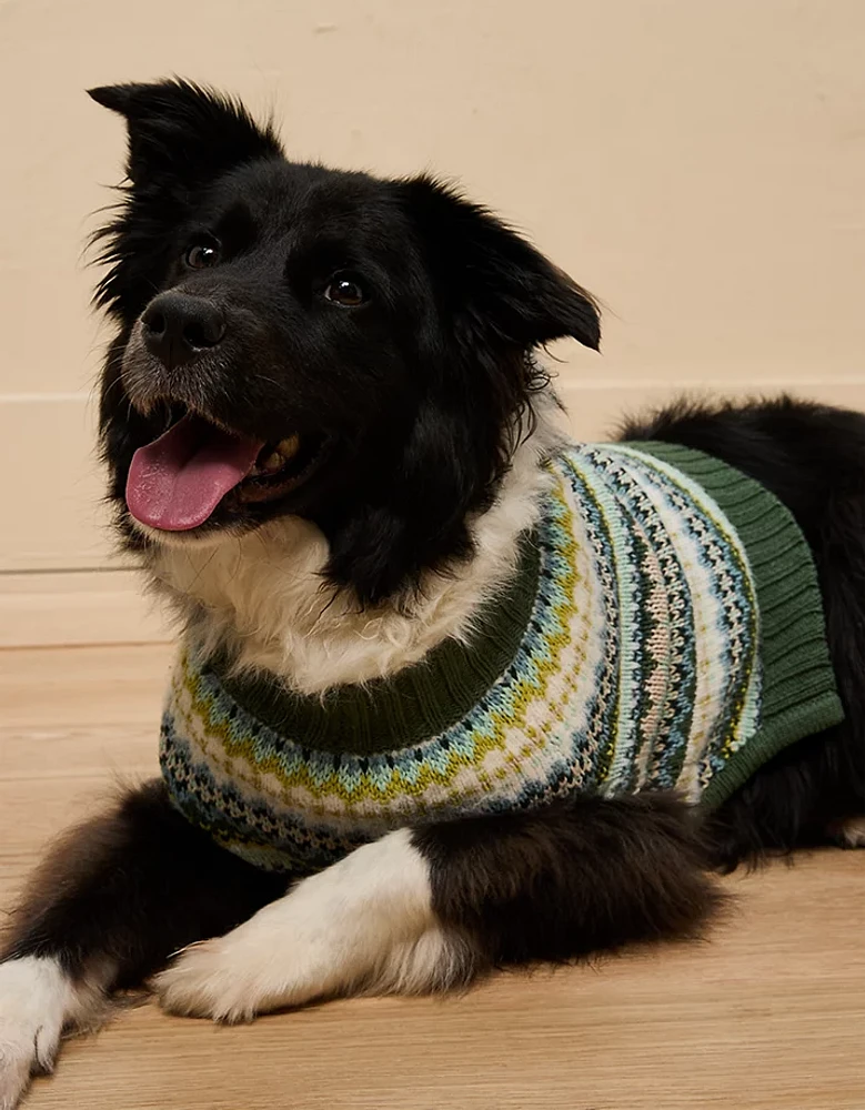 ABO Fair Isle Dog Sweater