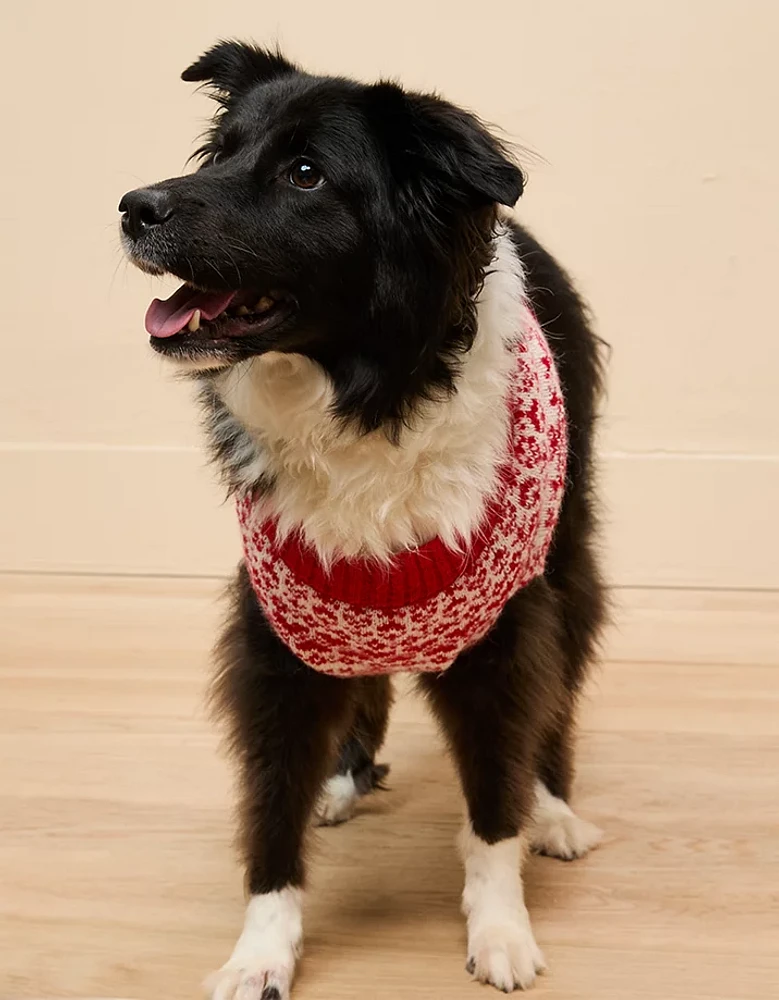 ABO Fair Isle Dog Sweater