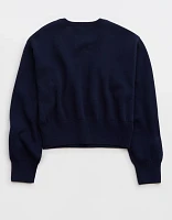 Aerie Cropped Sweater