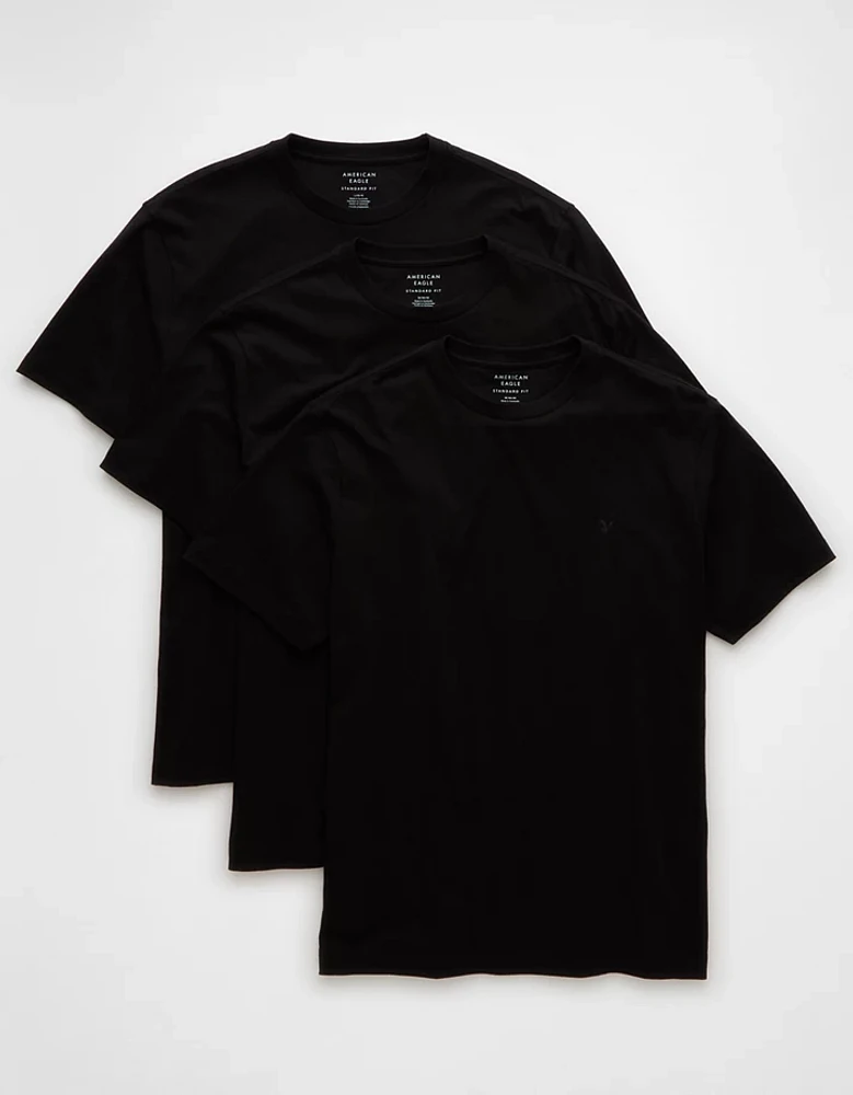 AE Lived-In T-Shirt -Pack