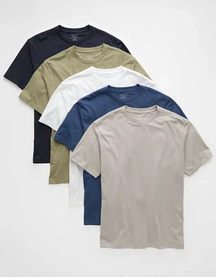 AE Lived-In T-Shirt -Pack