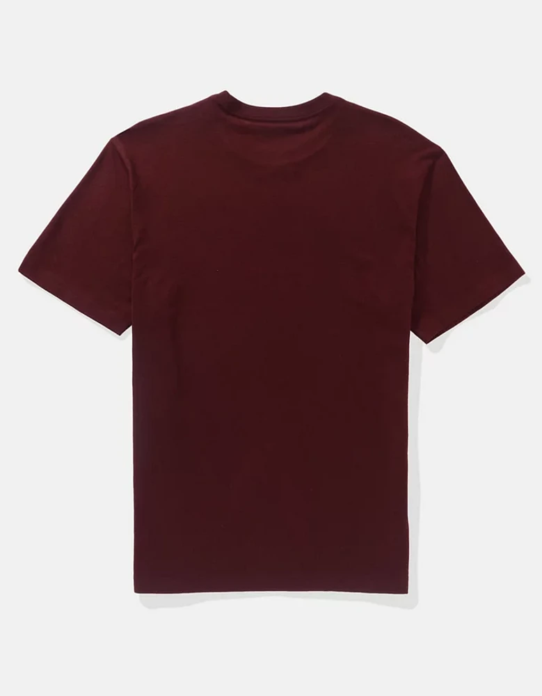 AE Lived-In T-Shirt