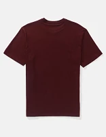 AE Lived-In T-Shirt