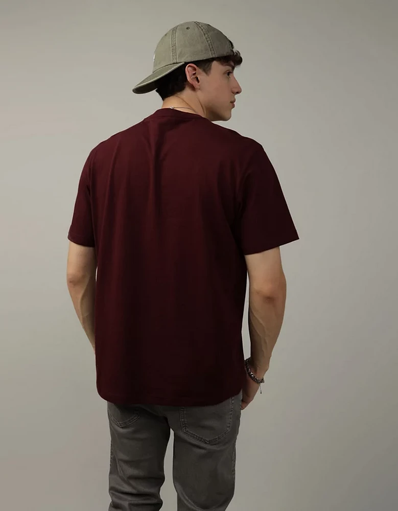 AE Lived-In T-Shirt