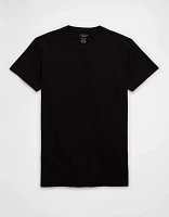 AE Lived-In Slim T-Shirt