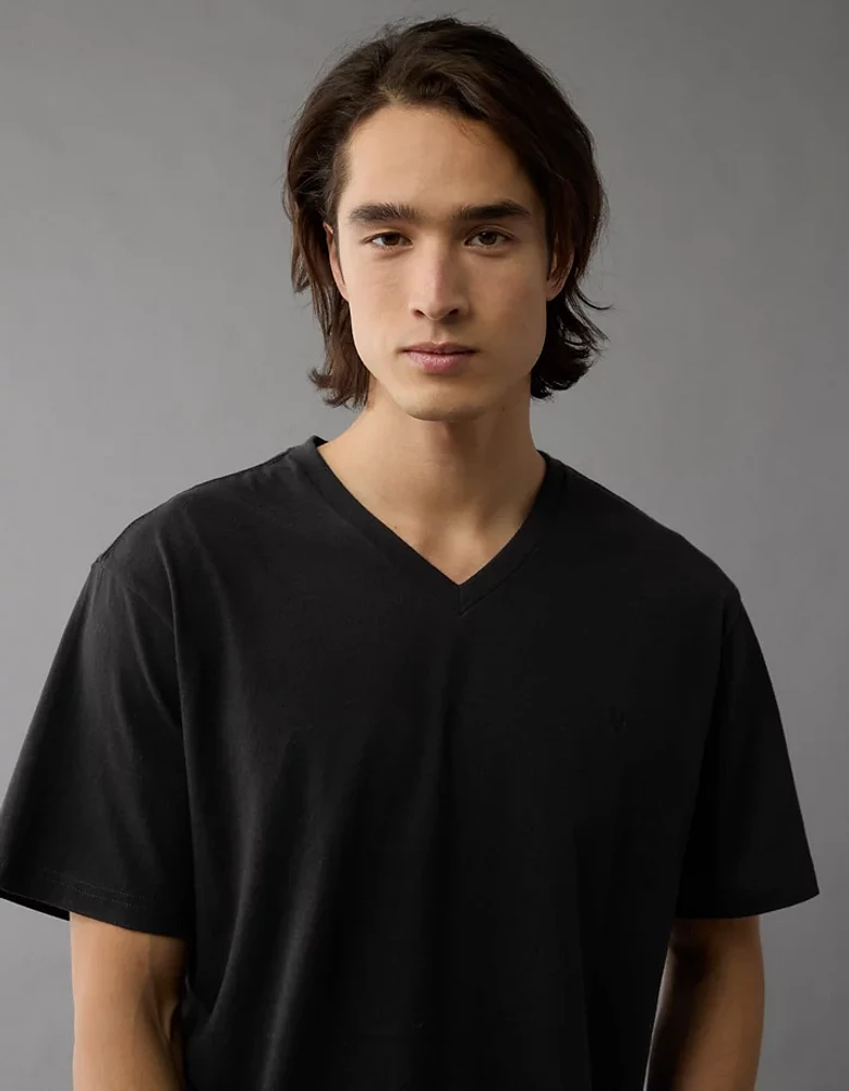 AE Lived-In V-Neck T-Shirt