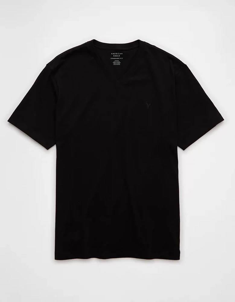 AE Lived-In V-Neck T-Shirt